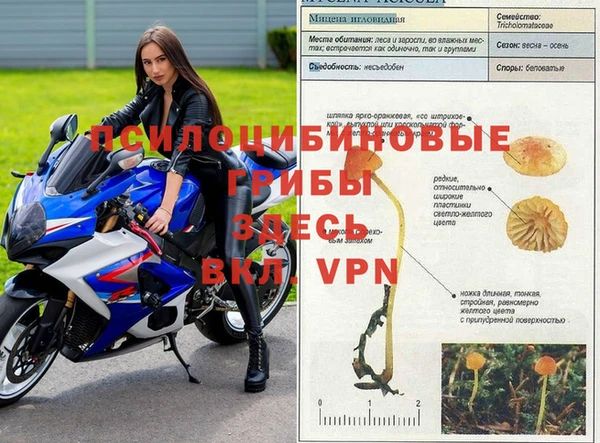 ALPHA PVP Вяземский