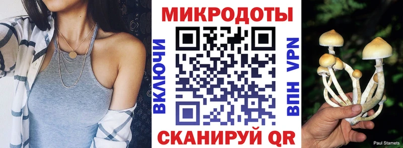 Псилоцибиновые грибы GOLDEN TEACHER Нея