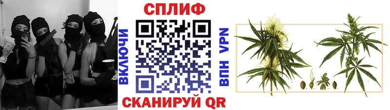 Марихуана Bruce Banner Нея